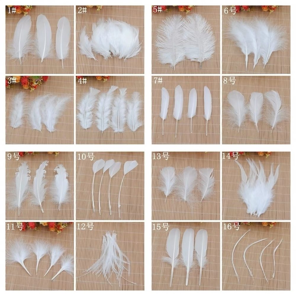 goose wing feathers .2